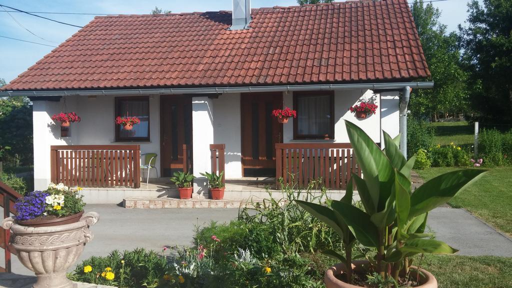 Guest House Family Dukic Rakovica Cameră foto