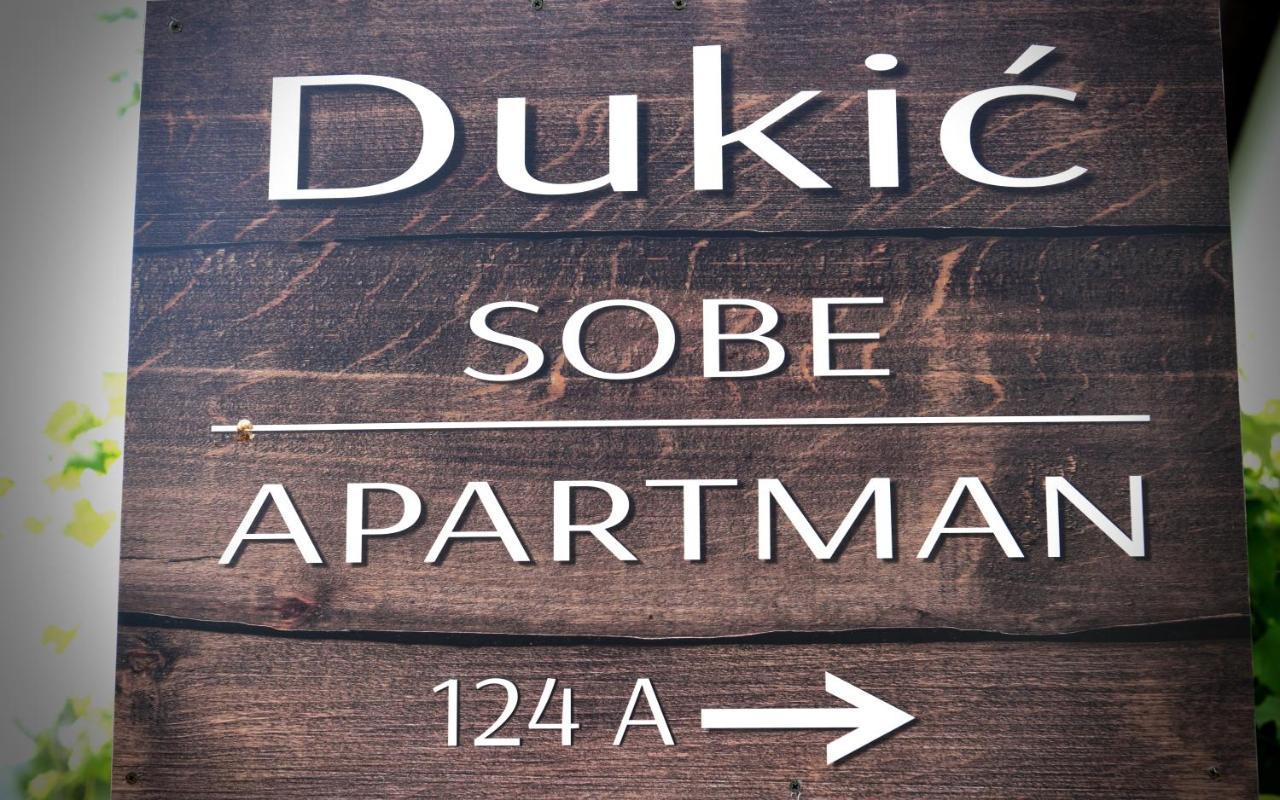 Guest House Family Dukic Rakovica Exterior foto